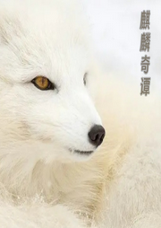 麒麟遇上歡喜冤家