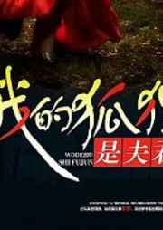 我的夫君是狐仙 