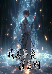 我真的不是道主啊