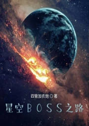 星空BOSS之路