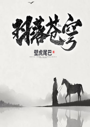 羽落蒼穹