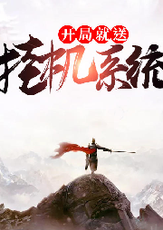 開局就送掛機(jī)系統(tǒng)