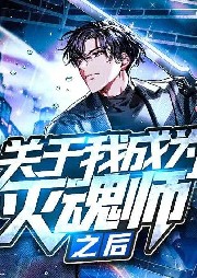 關于我成為滅魂師之后