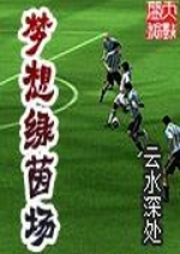 夢想綠茵場