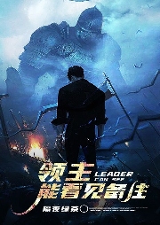 領(lǐng)主能看見備注