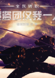 全民轉職：魔盜團僅我一人 