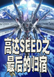 高達SEED之最后的歸宿