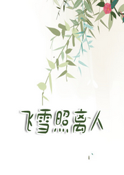 飛雪照離人