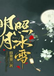明月照冰雪