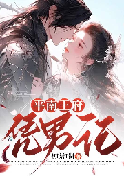 平南王府憑男記