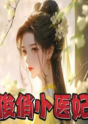 俊俏小醫(yī)妃