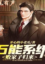 我有萬能系統，敗家子歸來