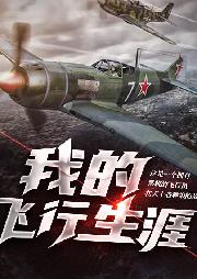 我的飛行生涯