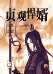 貞觀悍婿