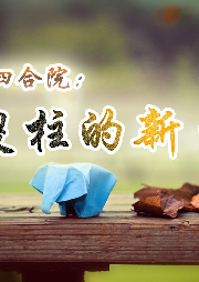 四合院：傻柱的新生【年代 重生 種田】