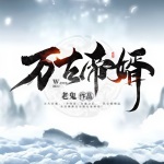 萬古帝婿