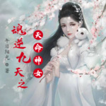 魂逆九天之天命神女