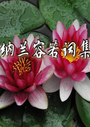 納蘭詞集