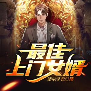 最佳上門(mén)女婿