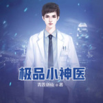 極品小神醫(yī)