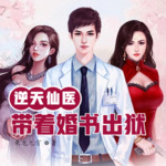 逆天仙醫：帶著十封婚書出獄
