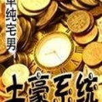 土豪系統(tǒng)