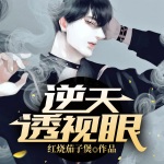逆天透視眼