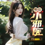極品小邪醫（火爆鄉村御女心經多女主）