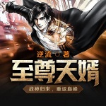 至尊天婿