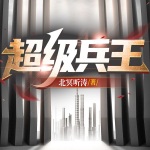 冷艷總裁的超級狂兵