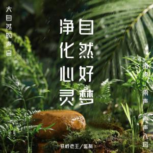大自然的聲音