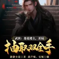 武俠：蓮花樓主，開局抽取雙全手