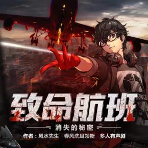 致命航班：消失的秘密