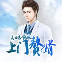 美女總裁的上門贅婿