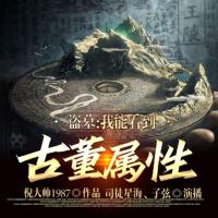 盜墓：我能看到古董屬性