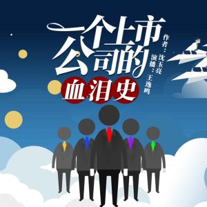 一個(gè)上市公司的血淚史