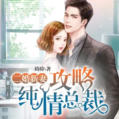二婚新妻：攻略純情總裁