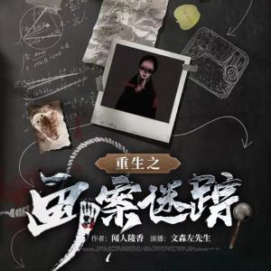重生之畫案迷蹤