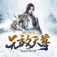 橫掃異界之無敵天尊