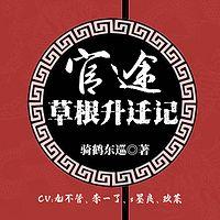 官途：草根升遷記
