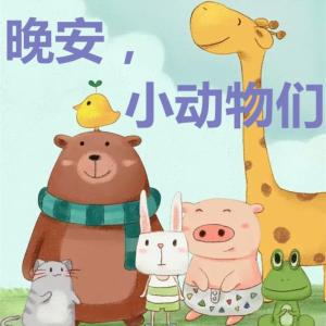 晚安，小動物們