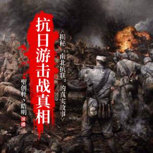 抗日游擊戰(zhàn)真相