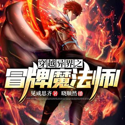 穿越異界之冒牌魔法師