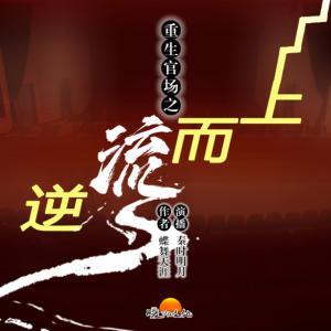 重生官場之逆流而上