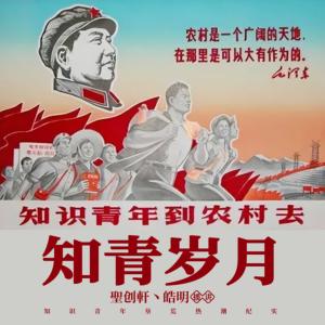知青歲月
