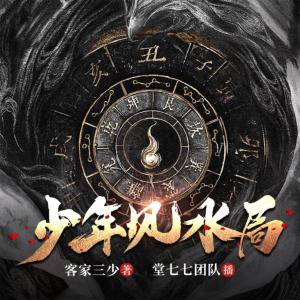 少年風水局
