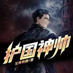 護(hù)國神帥