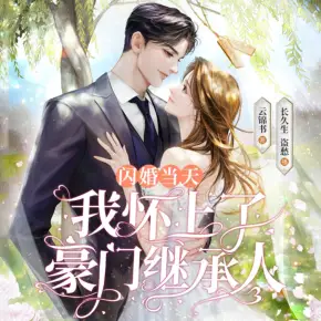 閃婚當(dāng)天，我懷上了豪門繼承人