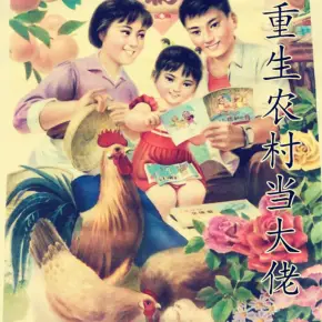 重生農(nóng)村當(dāng)大佬