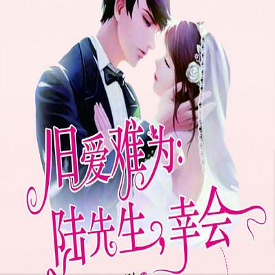 陸先生：舊愛難為
